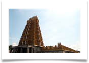 Nanjangud Temple